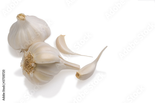 fresh garlic ,India