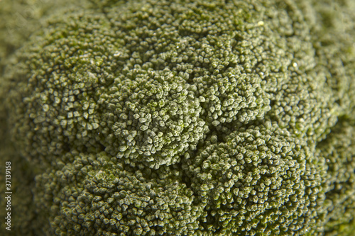 brocoli texture © bonninturina