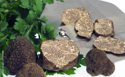 Fotografi Herbsttrüffel tuber uncinatum