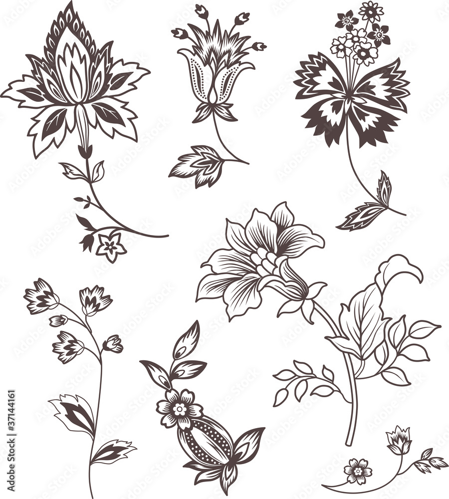 Decor floral elements set for design Decor floral elements set for design