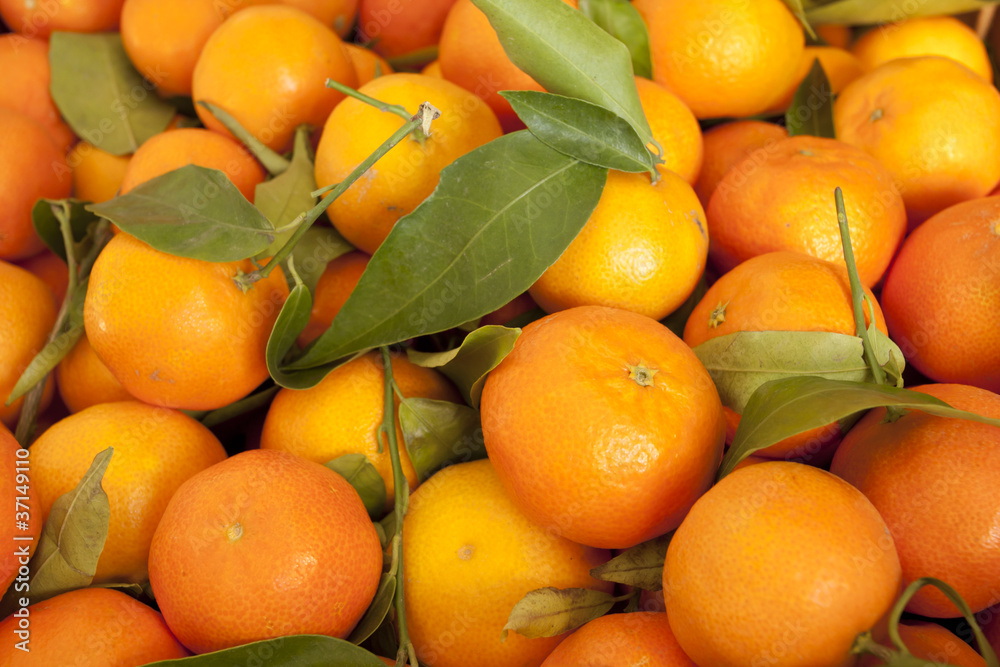 Mandarins