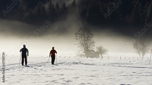 Foto Skilanglauf in den Alpen