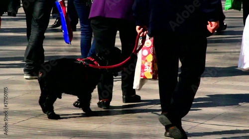 pasear