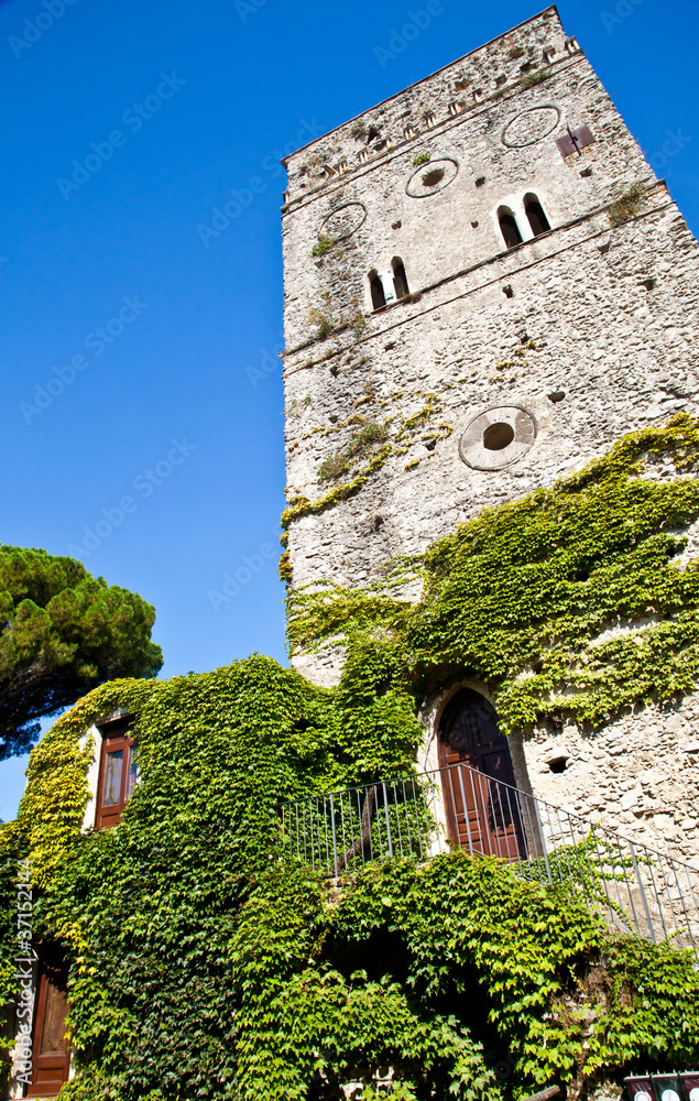 Fototapeta premium Castle covered by ivy