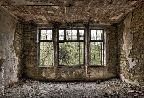 Overgrown window in a derelict room