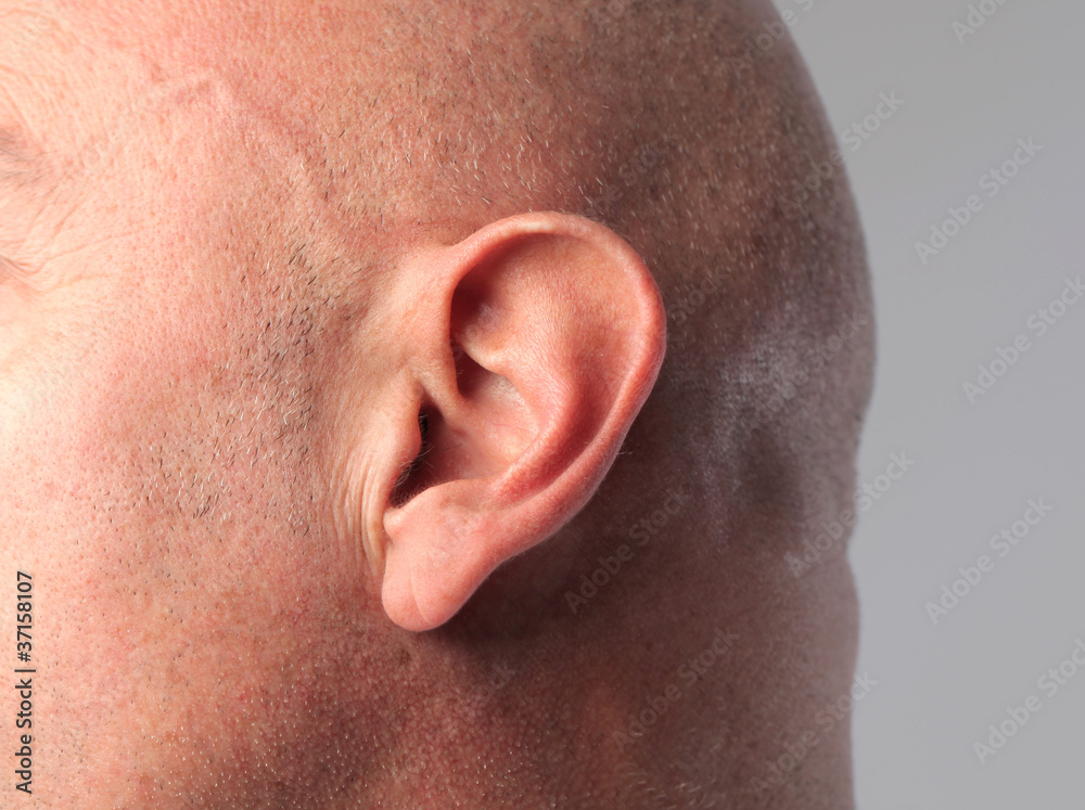Naklejka premium Hearing