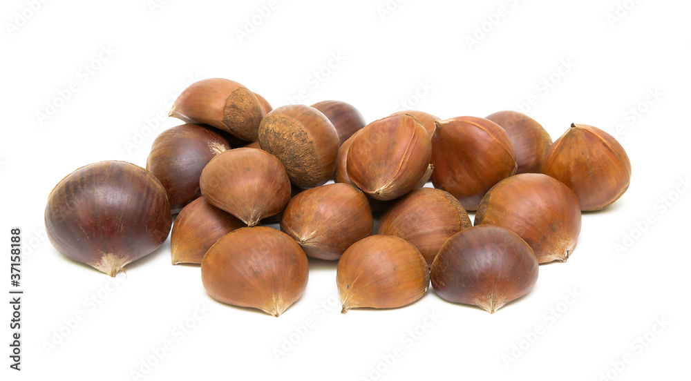 Chestnuts (Castanea sativa) on white background Chestnuts (Castanea sativa) on white background