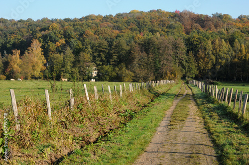 Saint Lambert des Bois dans les Yvelines photo