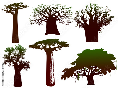 Fényképezés various trees of Africa - vector
