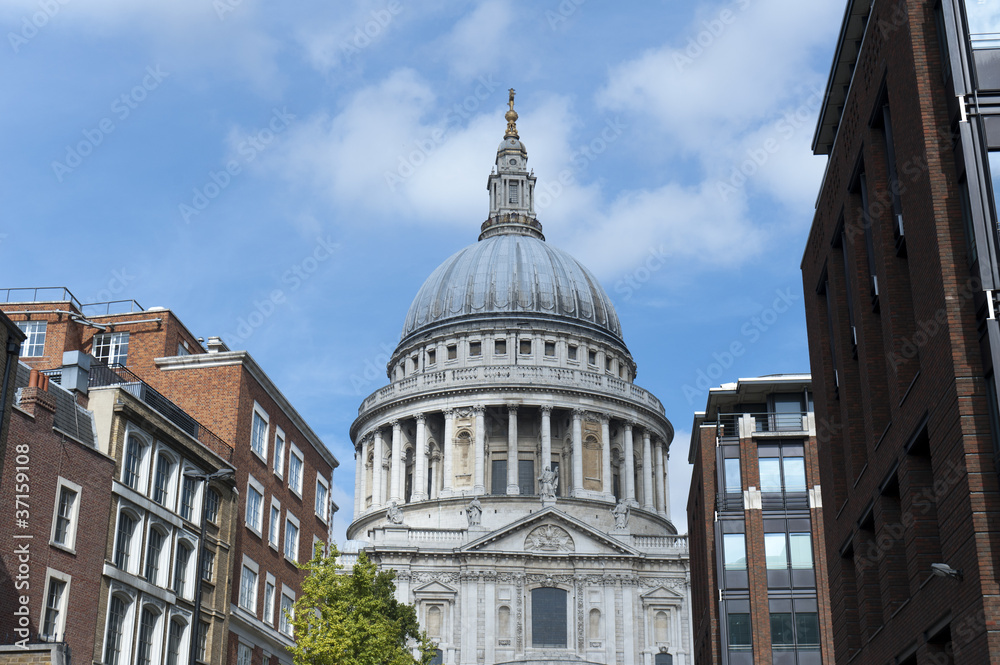 Obraz premium saint paul's cathedral