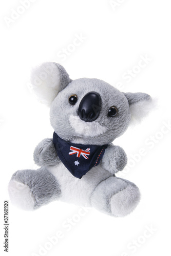 Photography Soft Toy Koala