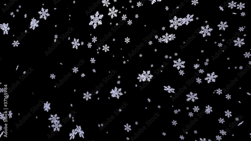 Falling snowflakes. Loop and with alpha matte Falling snowflakes. Loop and with alpha matte