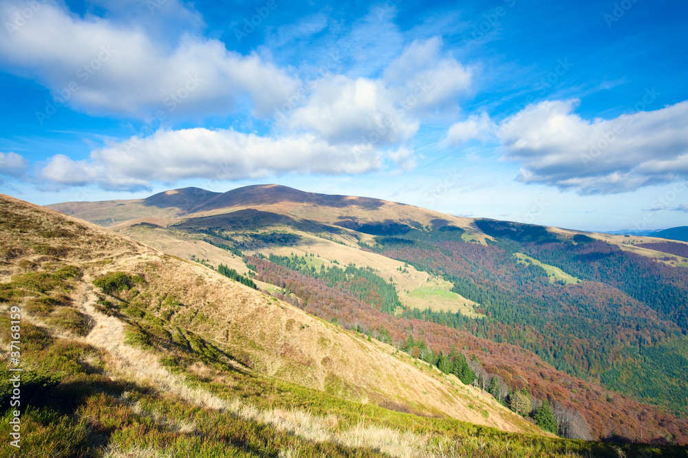 Autumn mountains  and stark bare trees