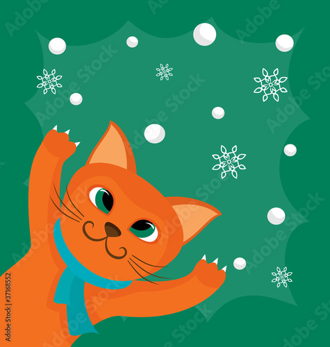 Red cat and snowballs