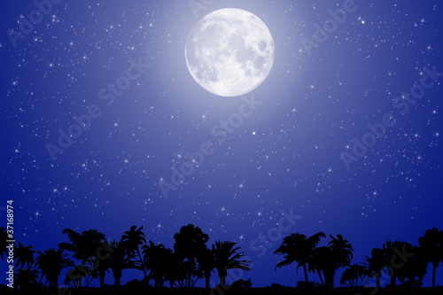Векторные пальмы на фоне ночного неба