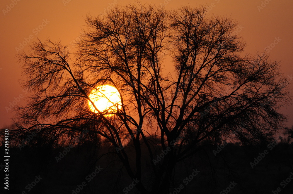 Sunset in Africa