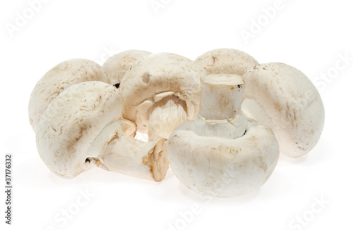 White mushrooms, champignon, (Agaricus bisporus)
