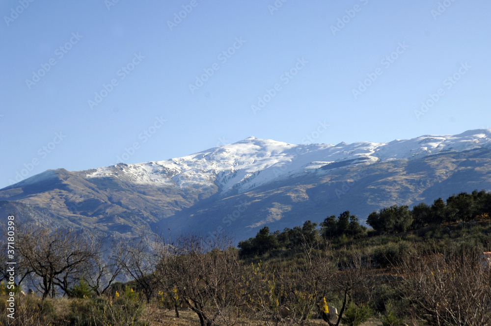 Fototapeta premium Sierra Nevada 3