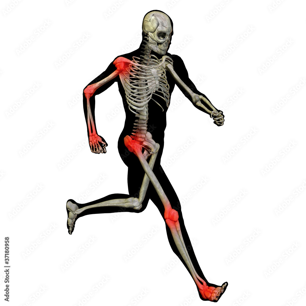 High resolution conceptual 3D human for anatomy High resolution conceptual 3D human for anatomy