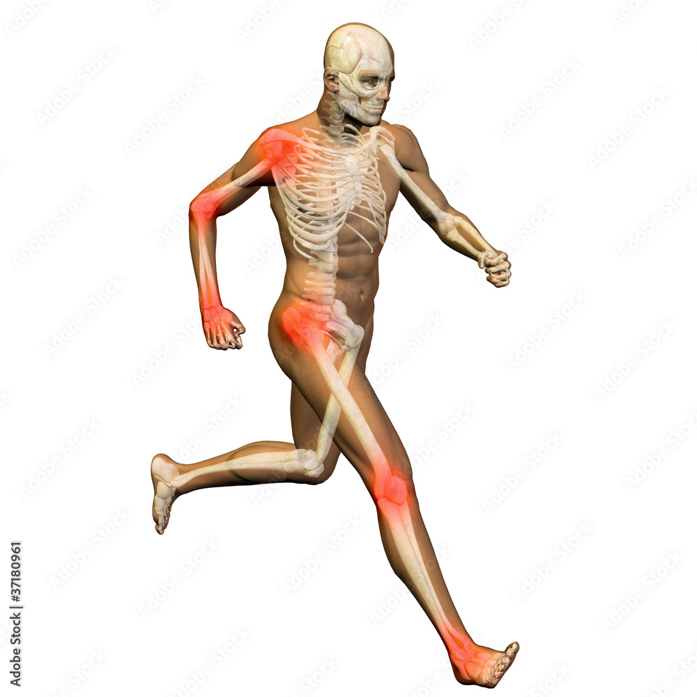 High resolution conceptual 3D human for anatomy High resolution conceptual 3D human for anatomy