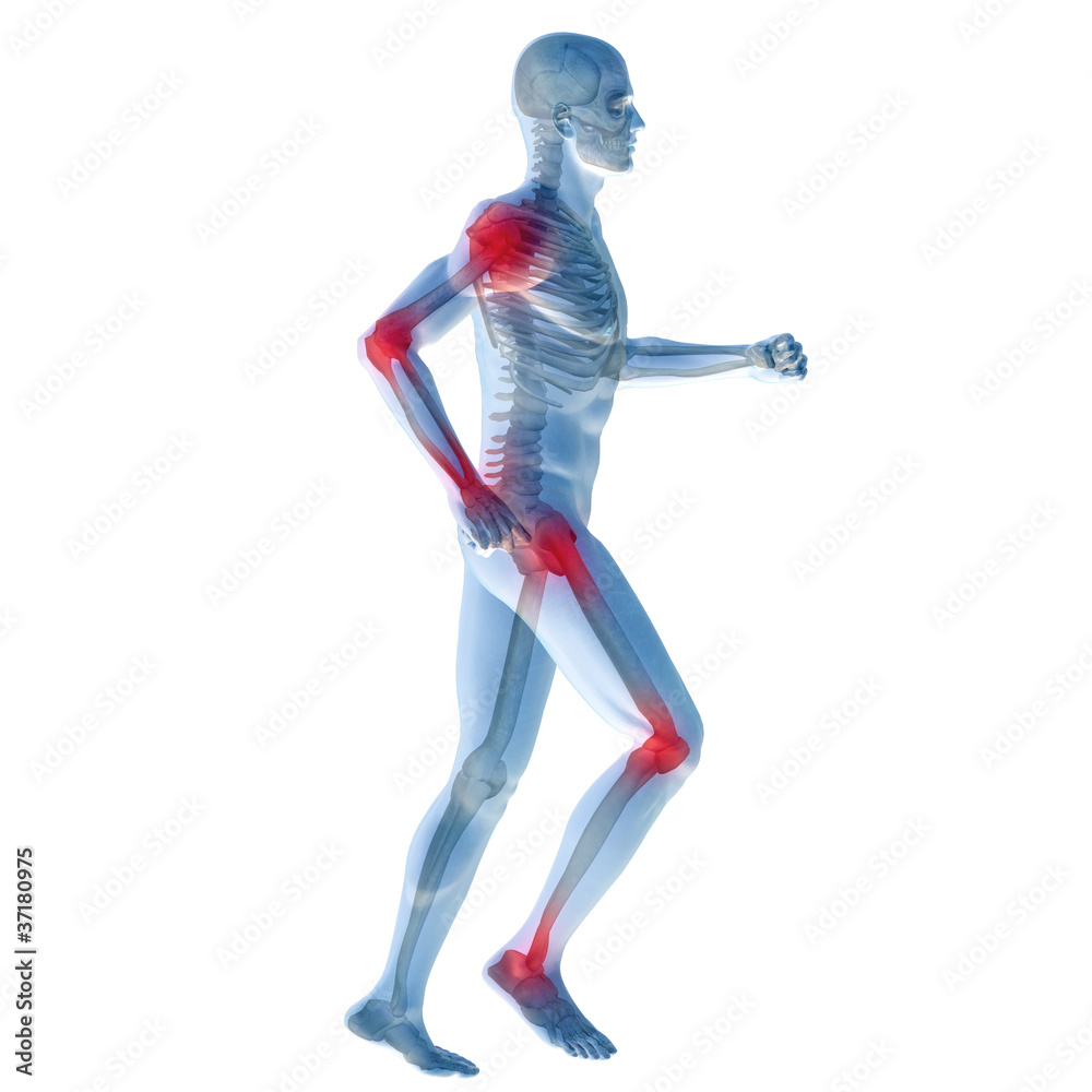 High resolution conceptual 3D human for anatomy High resolution conceptual 3D human for anatomy