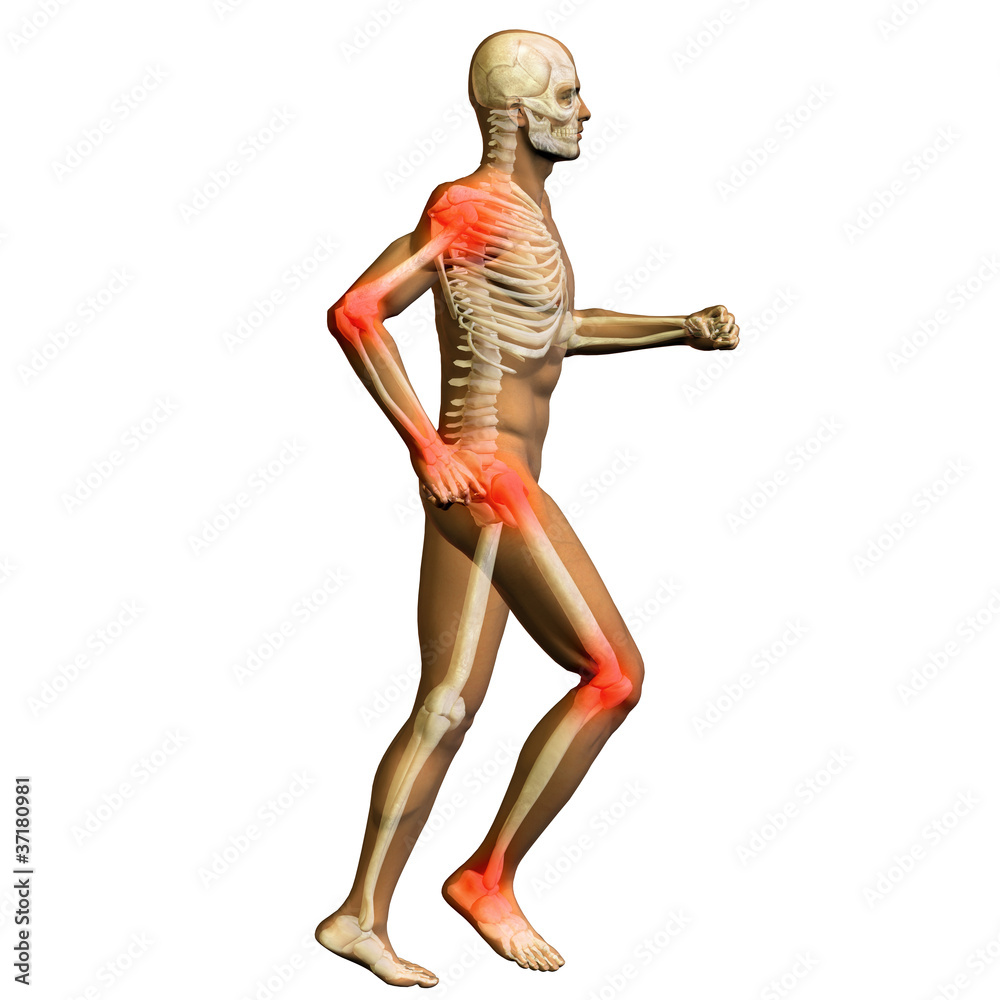 High resolution conceptual 3D human for anatomy