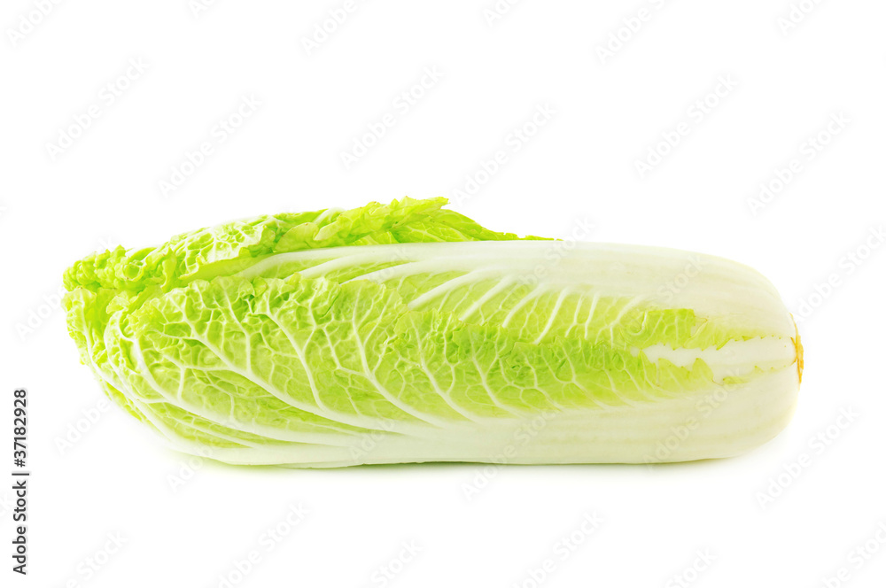 chinese cabbage chinese cabbage