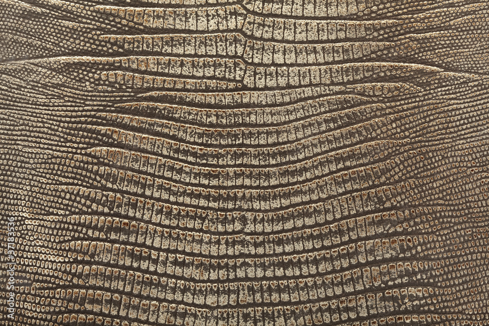 Fototapeta premium Reptile leather background