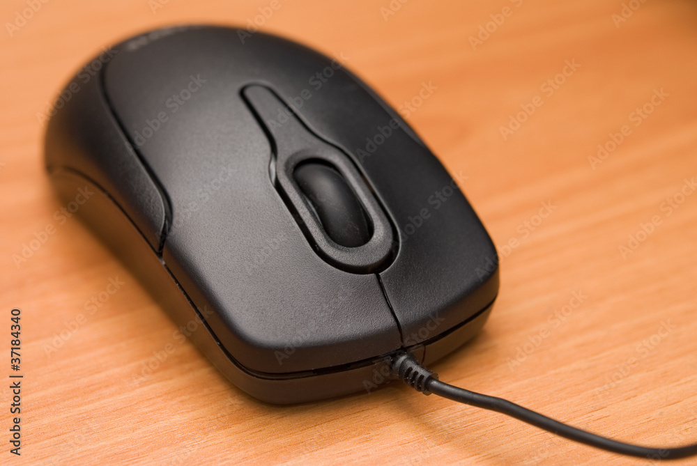 Computer Mouse Computer Mouse