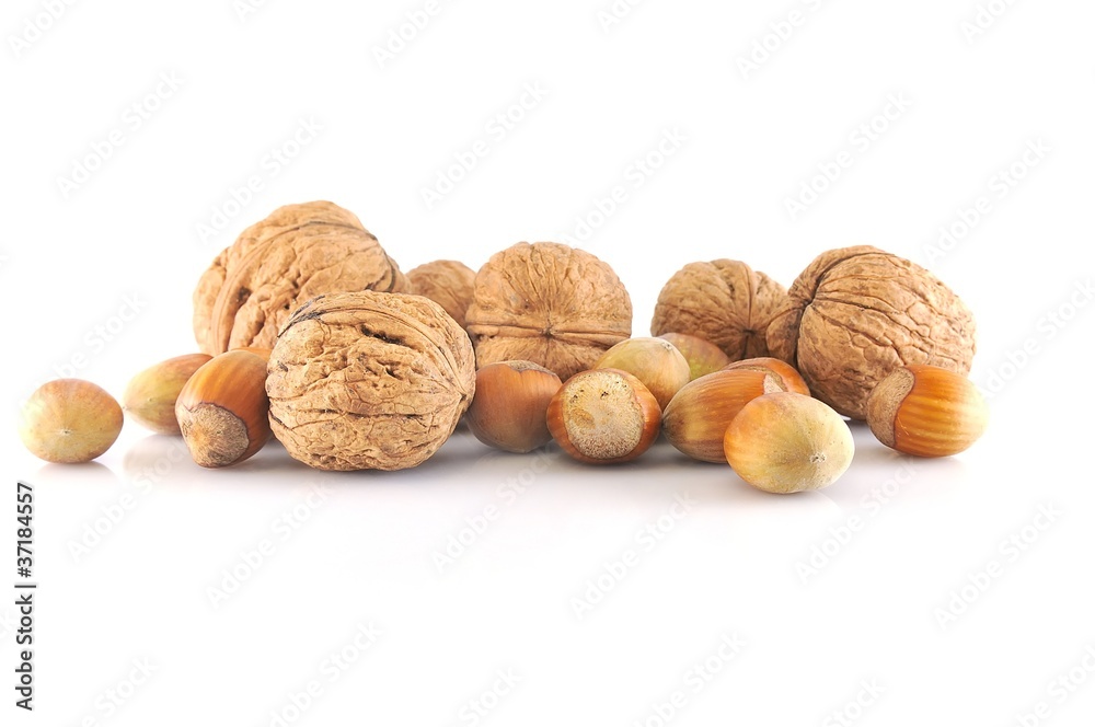 Nueces y avellanas aisladas sobre fondo blanco. Nueces y avellanas aisladas sobre fondo blanco.