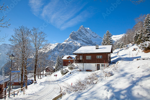 Winter in alps © swisshippo