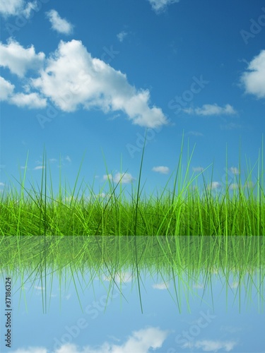 Green grass over a blue sky background