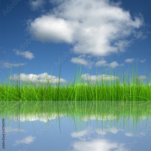 Green grass over a blue sky background