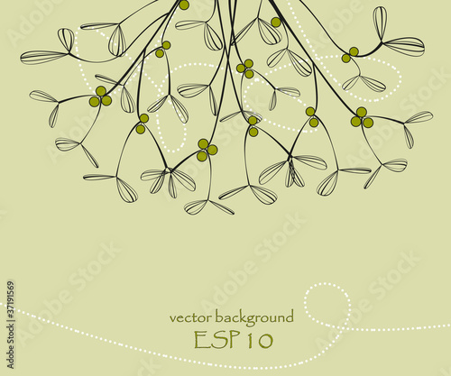 Background with mistletoe, vector illustration