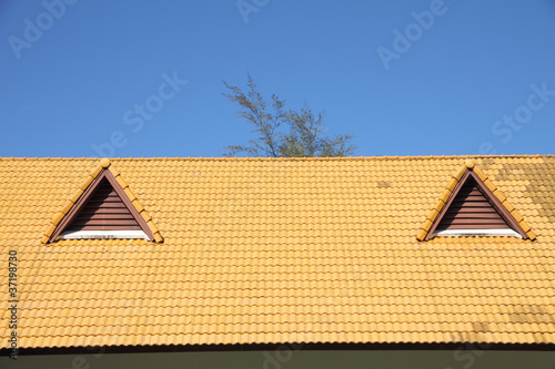 Gable on the yellow roof look like smiling eyes.