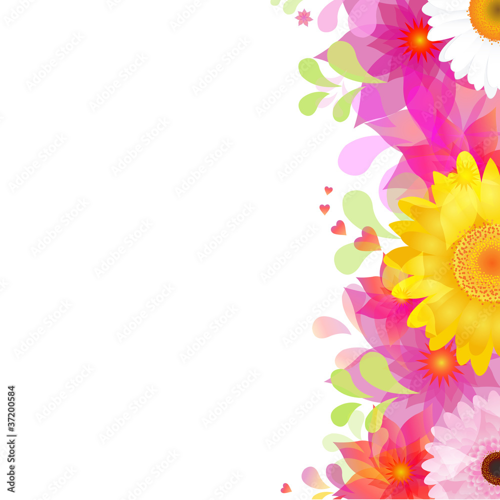 Flower Background With Color Gerbers And Leafs