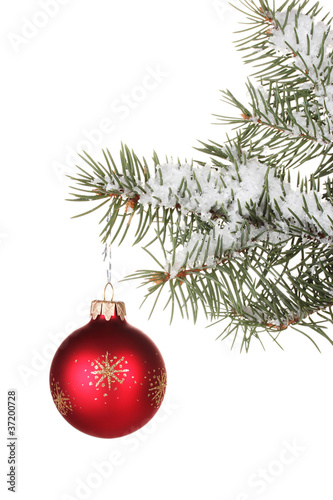 Christmas ball on the tree on white background