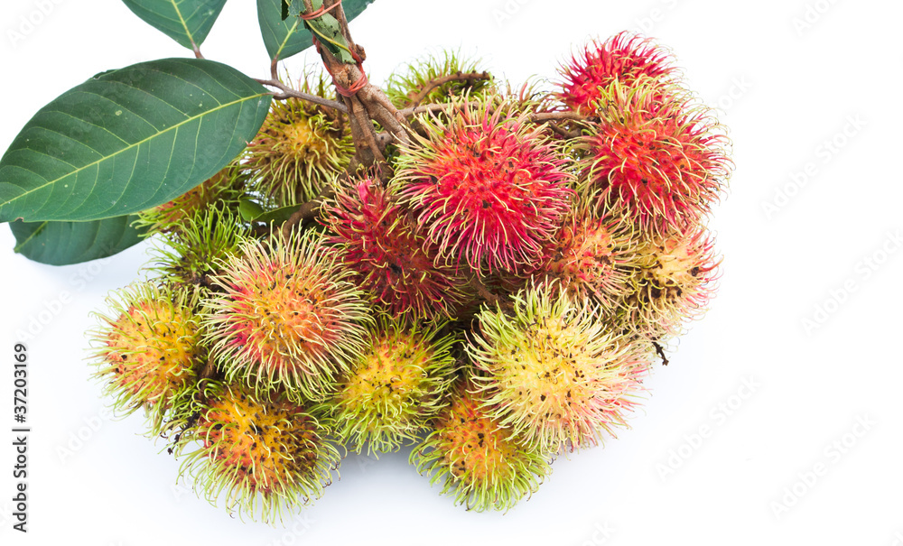 rambutan or hairy fruit, popular fruit of Thailand on white back rambutan or hairy fruit, popular fruit of Thailand on white back