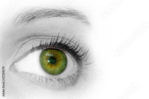 Abstract Green Eye