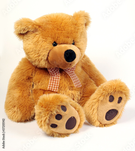 Oso de peluche