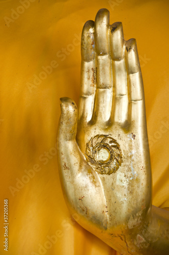 Hand of Buddha. #37205368