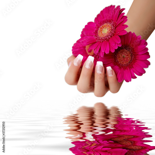 Hand mit einer Gerbera photo