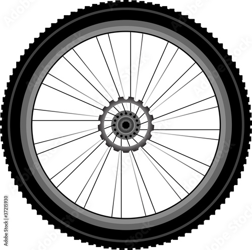 bike wheel isolated on white