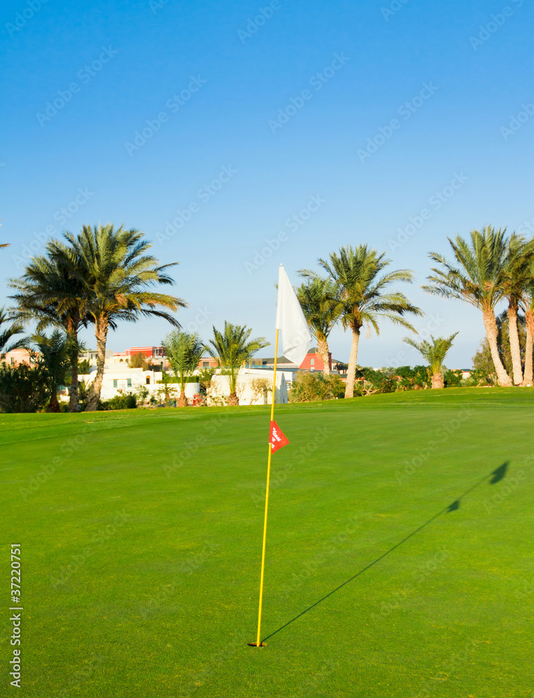 Golf Flag Spread On The Wind