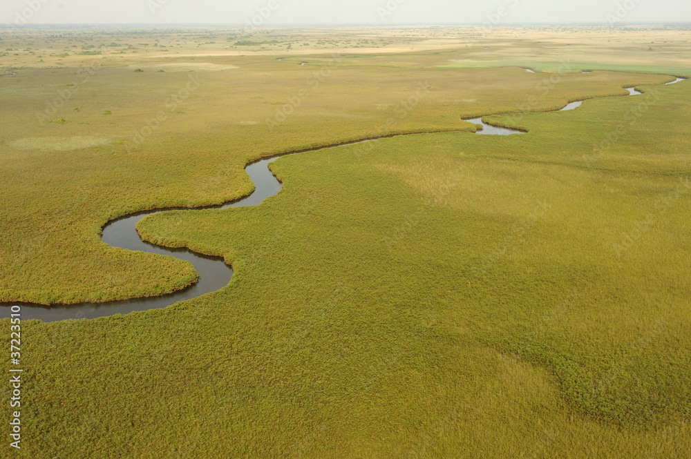Fototapeta premium Delta de l'Okavango, Botswana