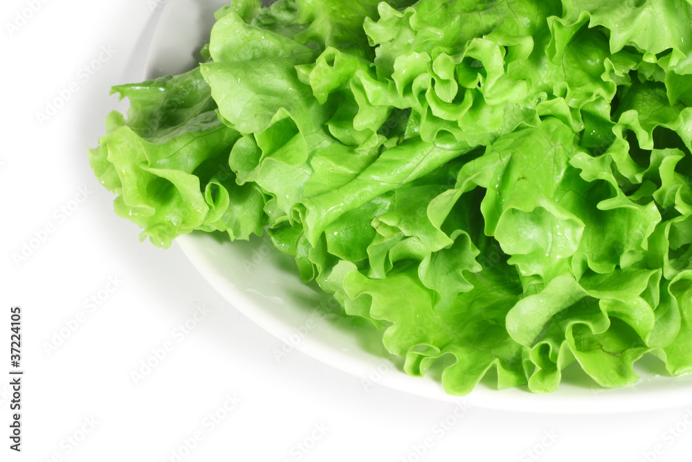 Fresh lettuce on white plate