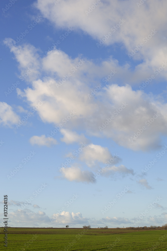 Fototapeta premium Land and clouds.