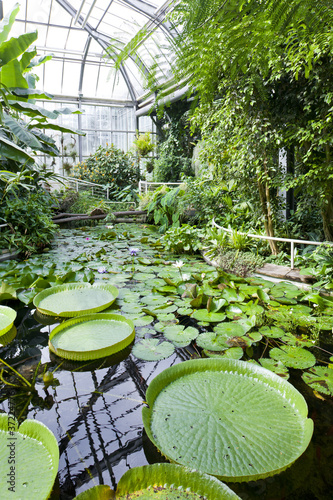 Canvas Print Botanical Garden Na Slupi, Prague, Czech Republic