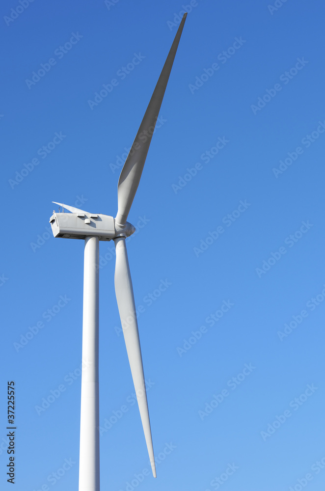 windmill windmill