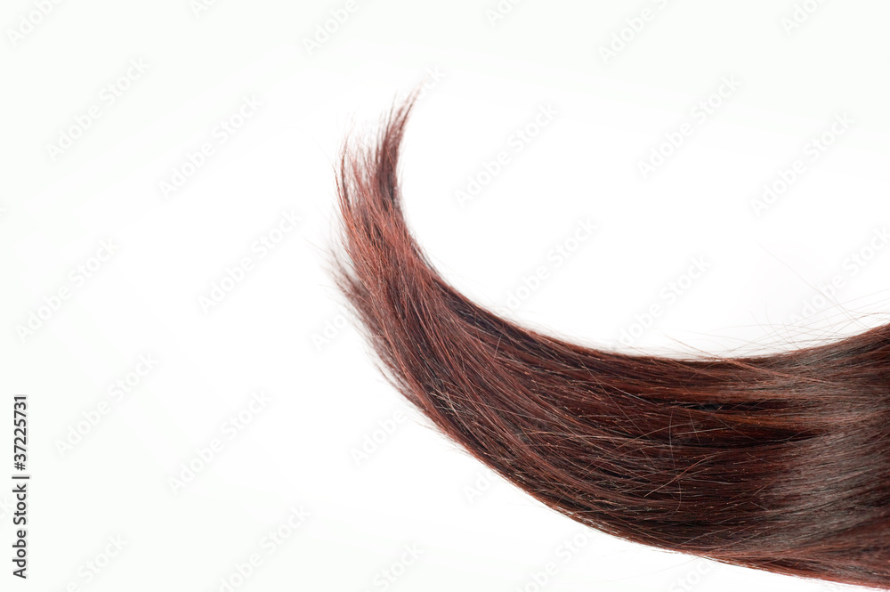 Ciocca capelli rossi - obrazy, fototapety, plakaty 